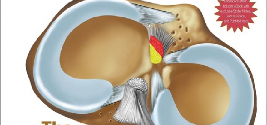 Stoller’s Orthopaedics and Sports Medicine: The Knee (2015)